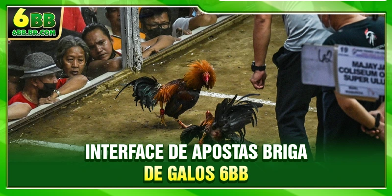 Interface de apostas briga de galos 6BB